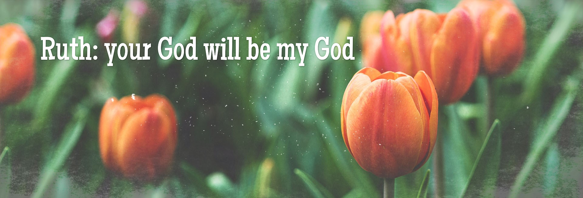 Spring Forward Tulip Church Website Banner
